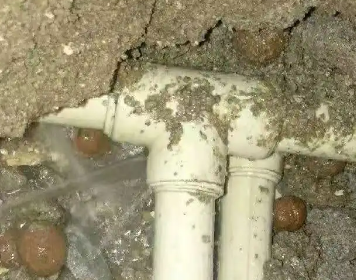 海拉尔测漏水多少钱