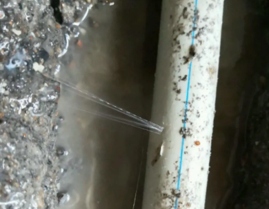 海拉尔测漏水哪家好