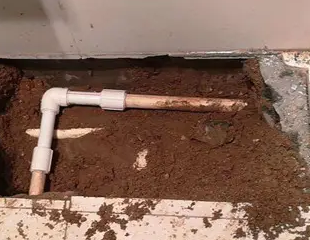 海拉尔测漏水哪家好