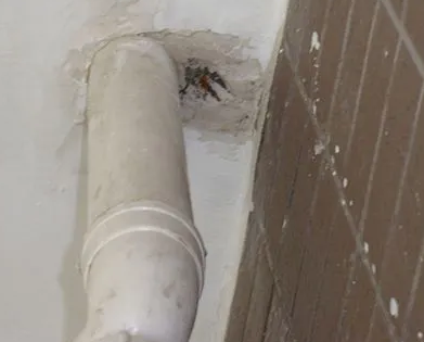 海拉尔漏水检测哪家好