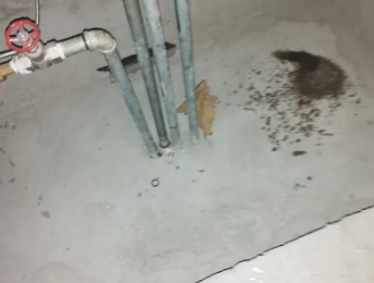 海拉尔卫生间测漏水价格明细